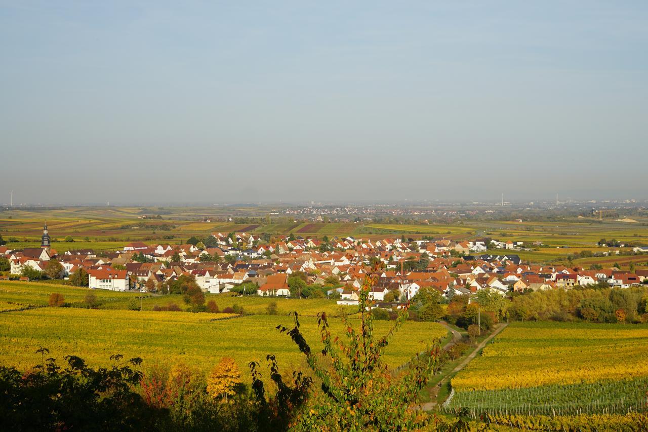 Ferienwohnung Knittel Kallstadt Extérieur photo