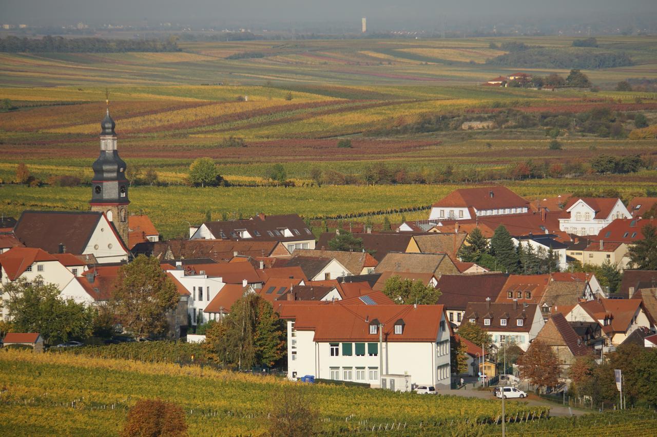 Ferienwohnung Knittel Kallstadt Extérieur photo